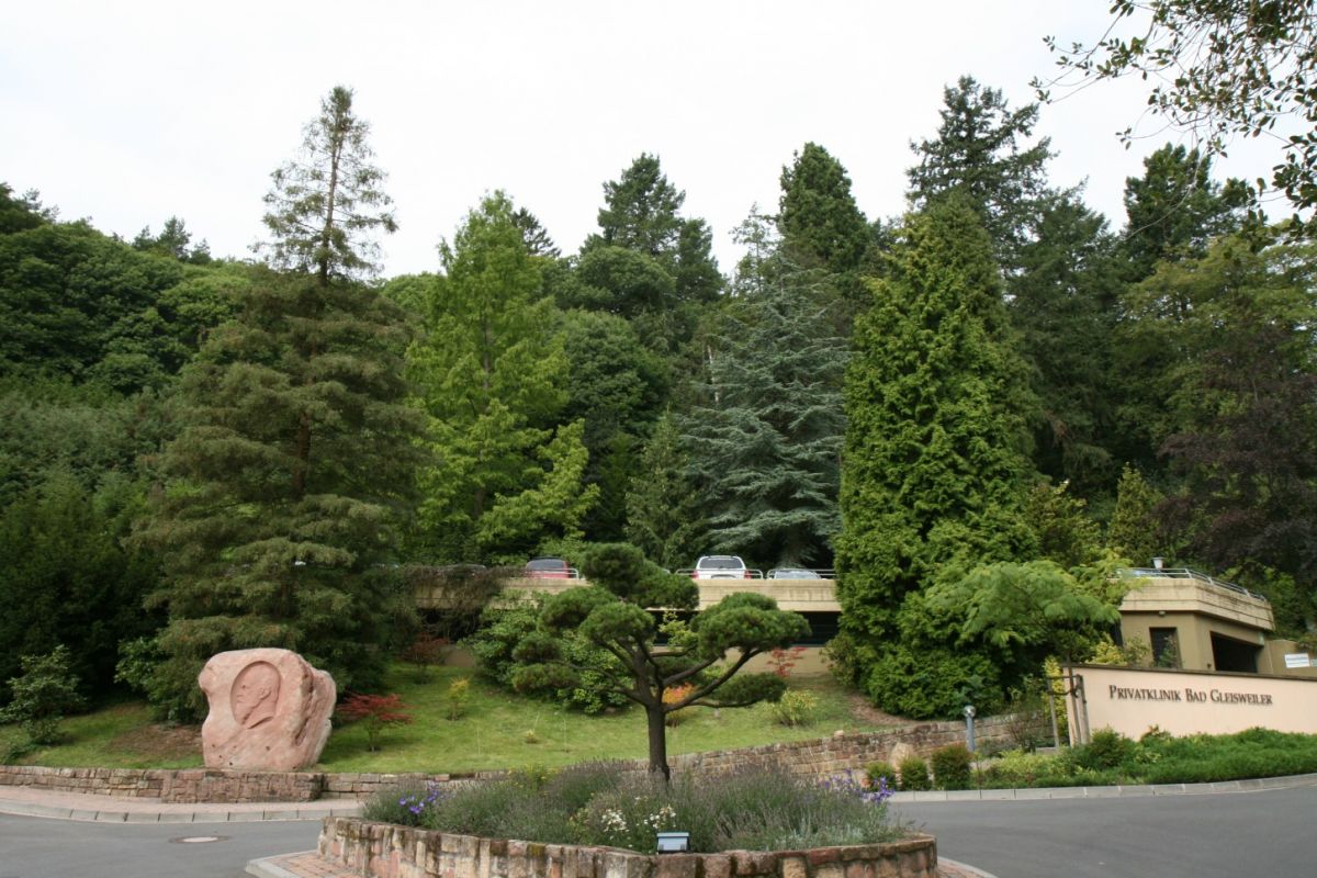 sempervirens Sequoia