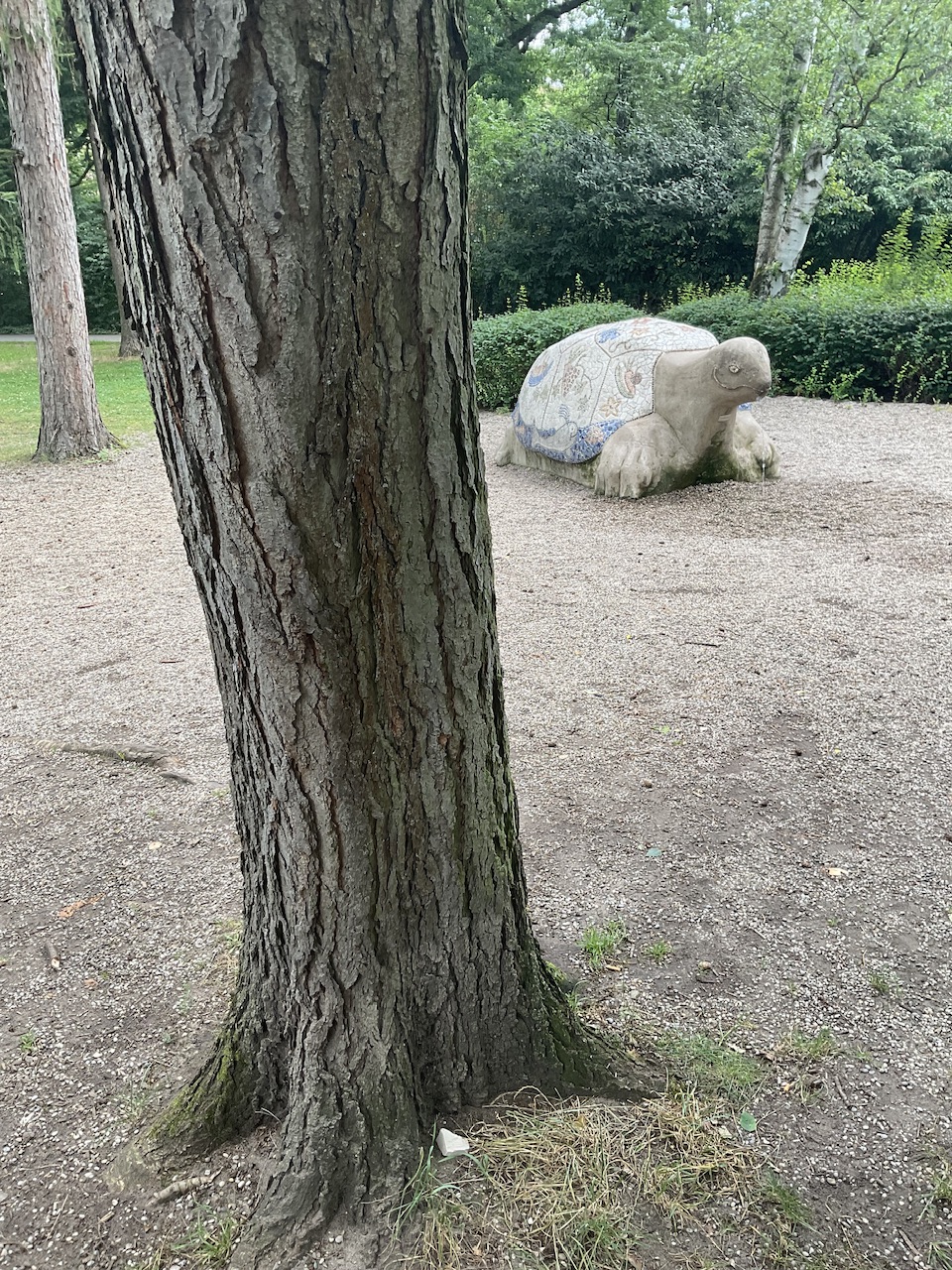 Gymnocladus dioicus - Stadtpark Nürnberg - Juli 2024