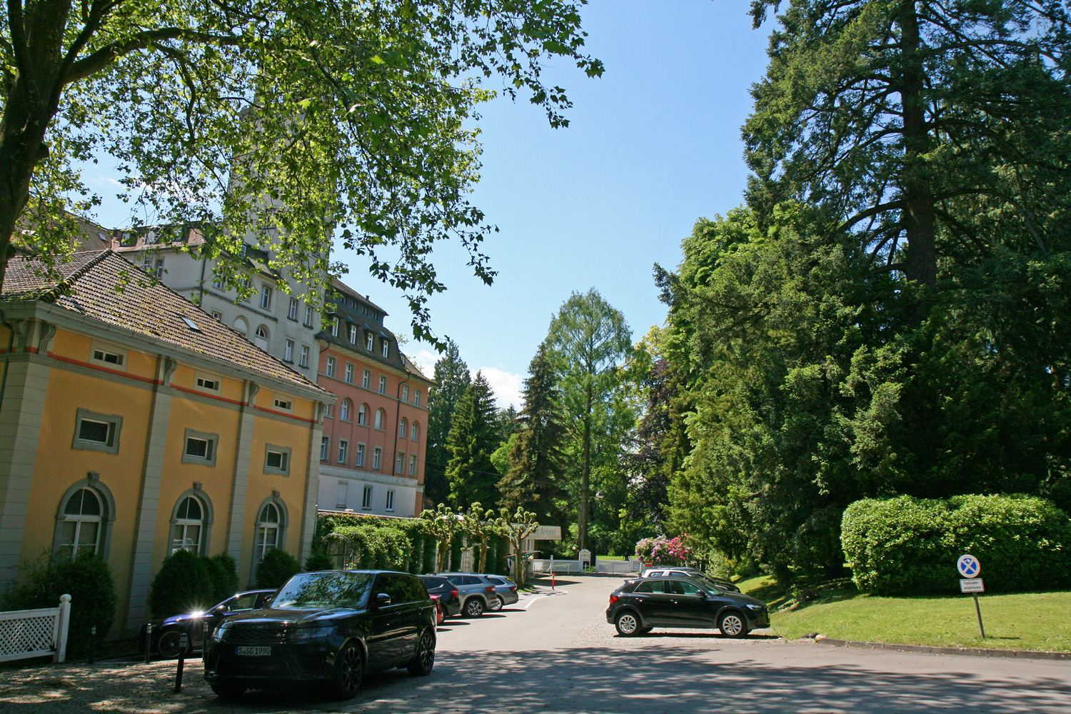 Pseudotsuga menziesii - Bad Schachen, Kurparkhotel - Mai 2024