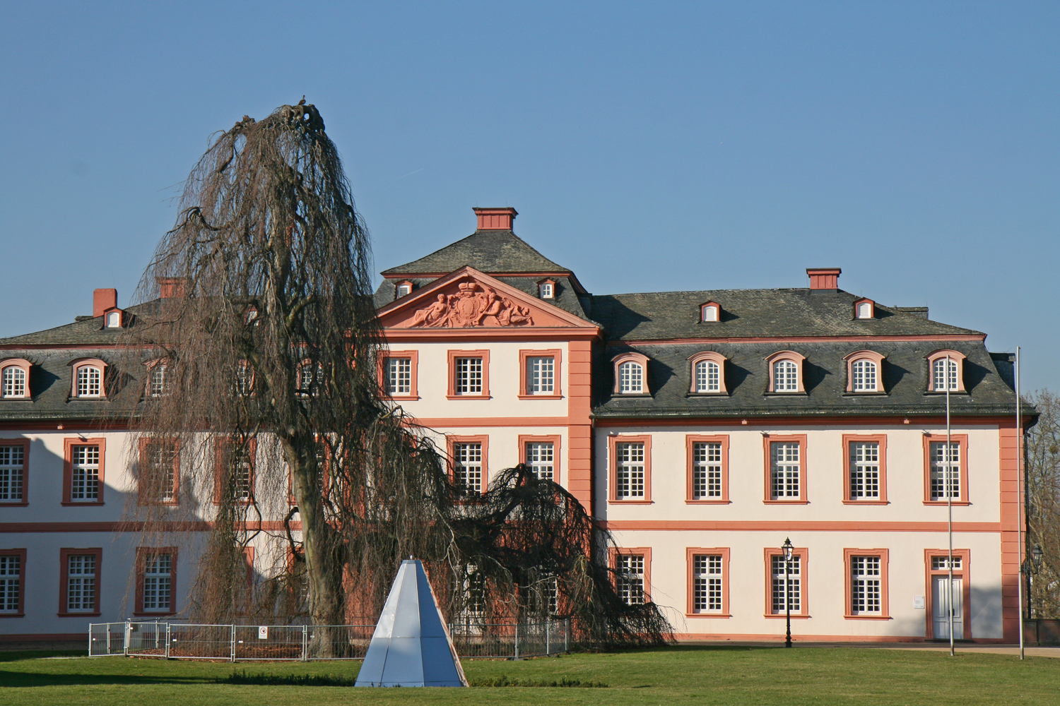 Fagus sylvatica 'Pendula' - Wiesbaden-Biebrich - Febr. 2019