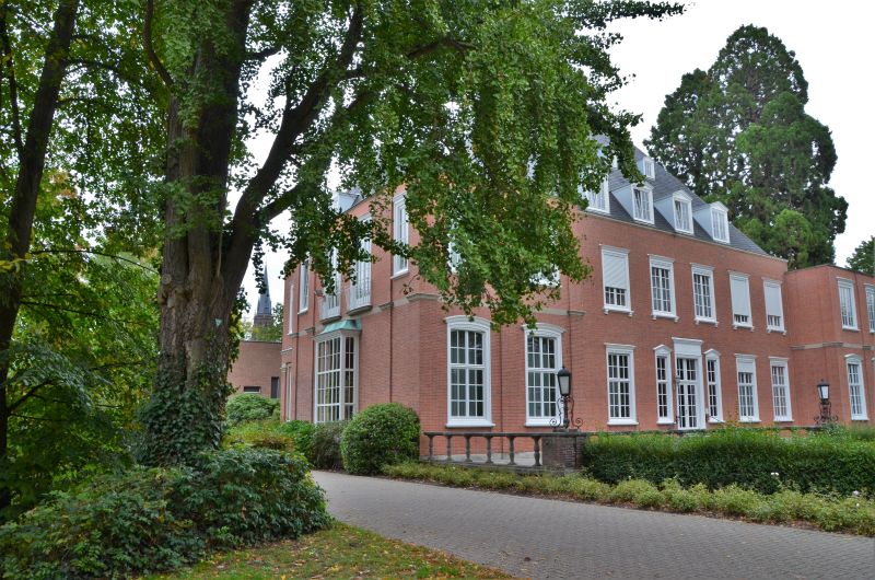 Ginkgo biloba - Viersen - 2020