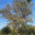 10895