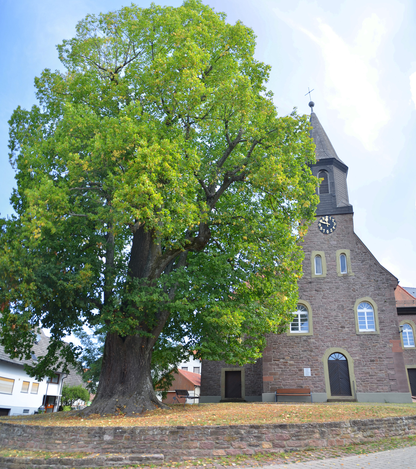 Kirchhoflinde - Spielberg - August 2020
