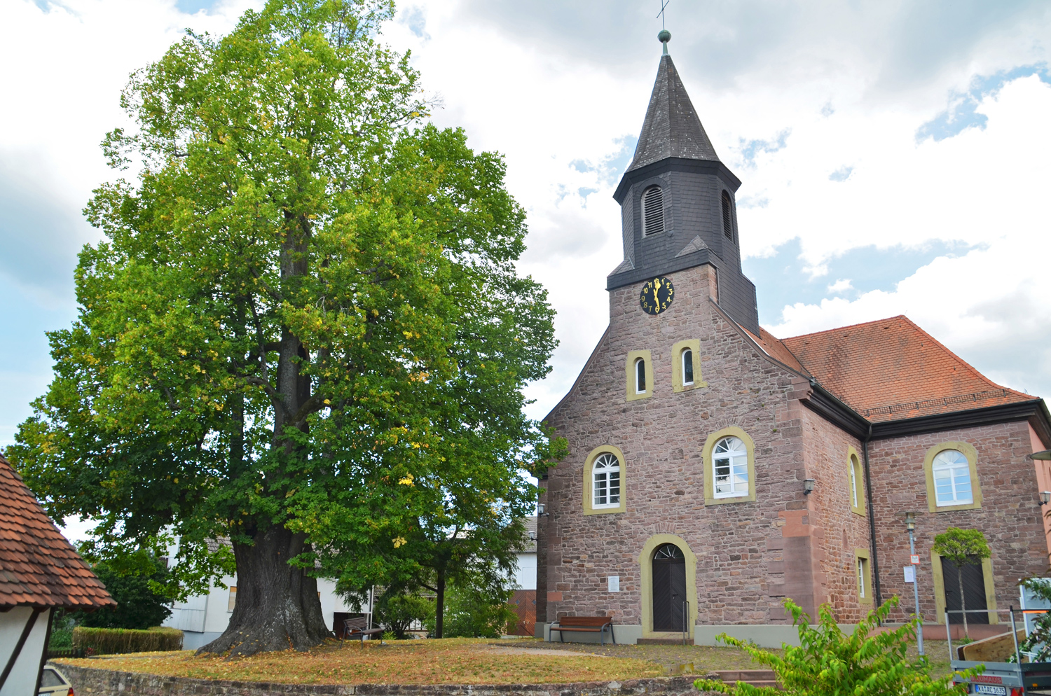 Kirchhoflinde - Spielberg - August 2020