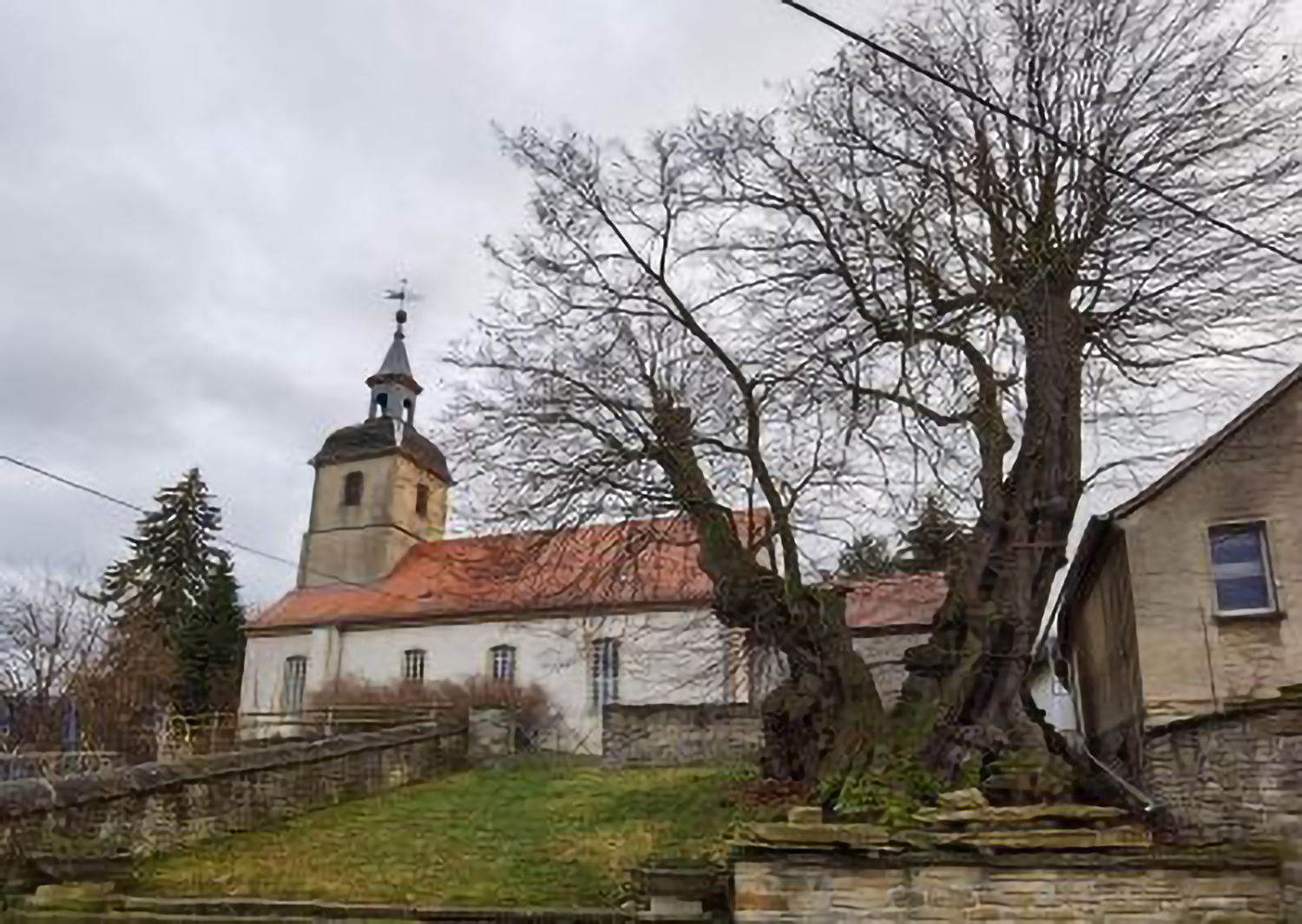 Prangerlinde vor der Kirche - 2021