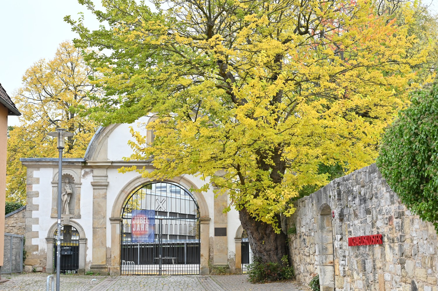 Moraus alba - Hildesheim, St. Michaelis - Oktober 2025