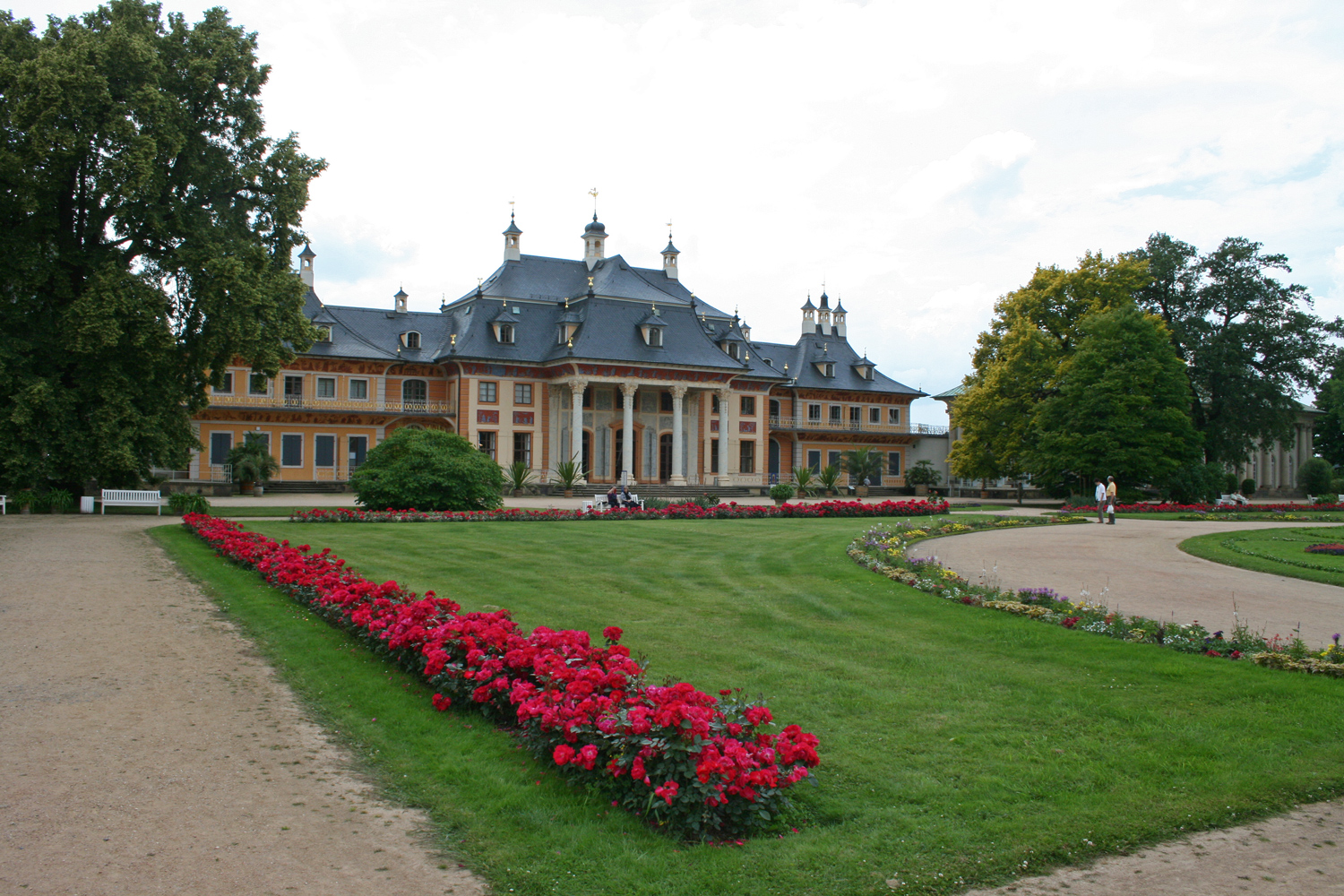Quercus cerris (am rechten Bildrand) - Schlosspark Pillnitz - Juni 2009
