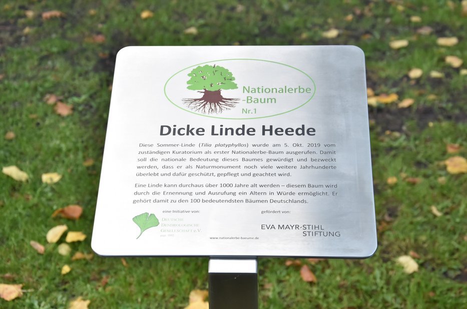 Sommer-Linde, Heede - Nationalerbe-Baum Nr. 1 - Schild
