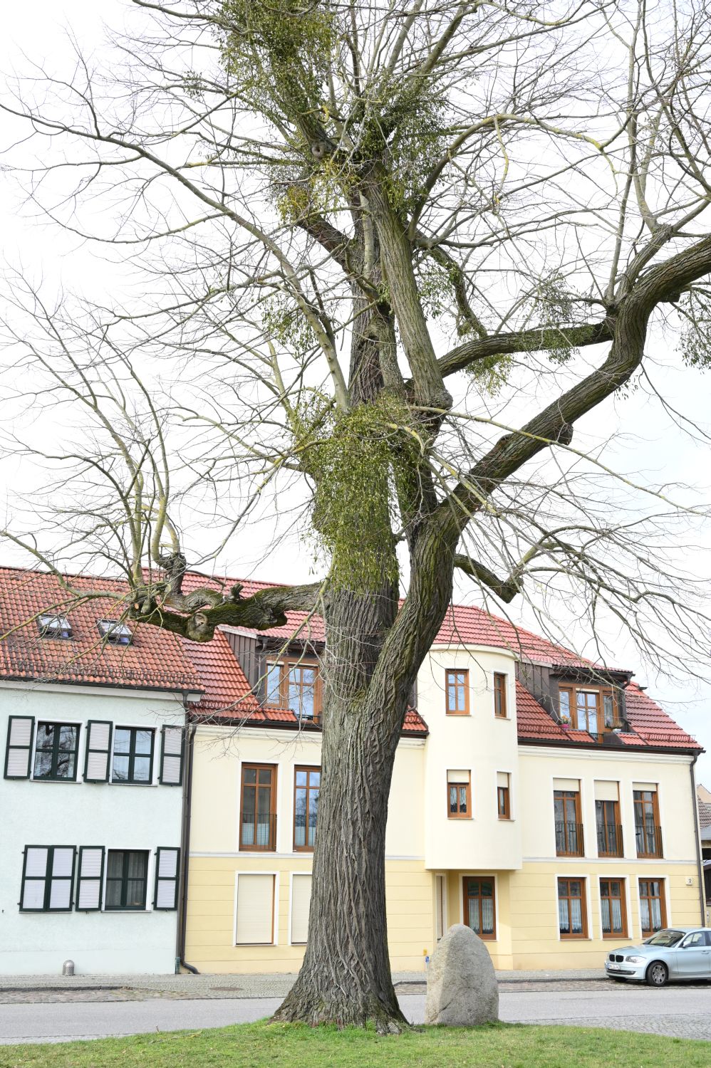 Moltke-Linde - Zehedenick - 2020