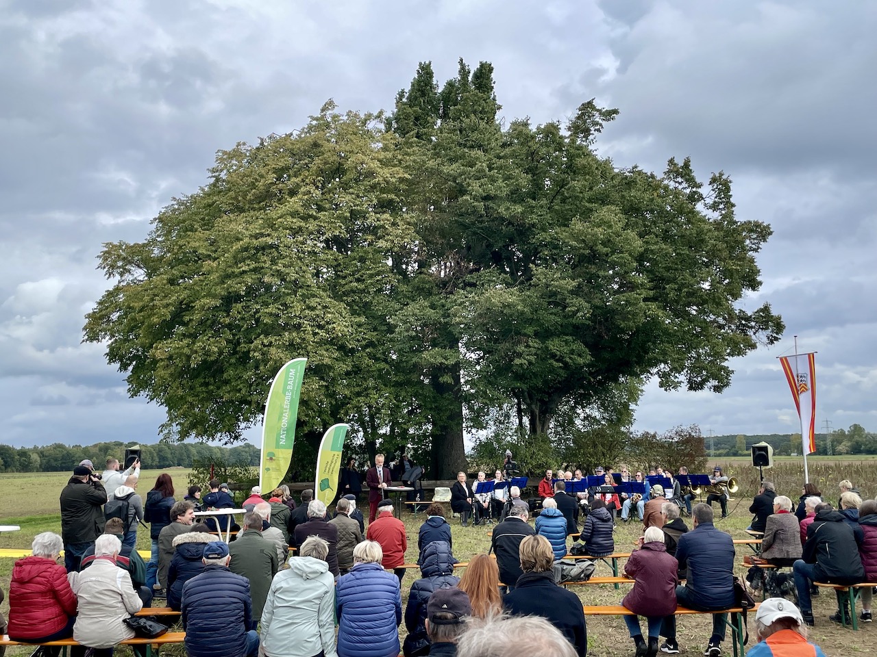 Quercus robur Fastigiata-Gruppe - Harreshausen - 2022