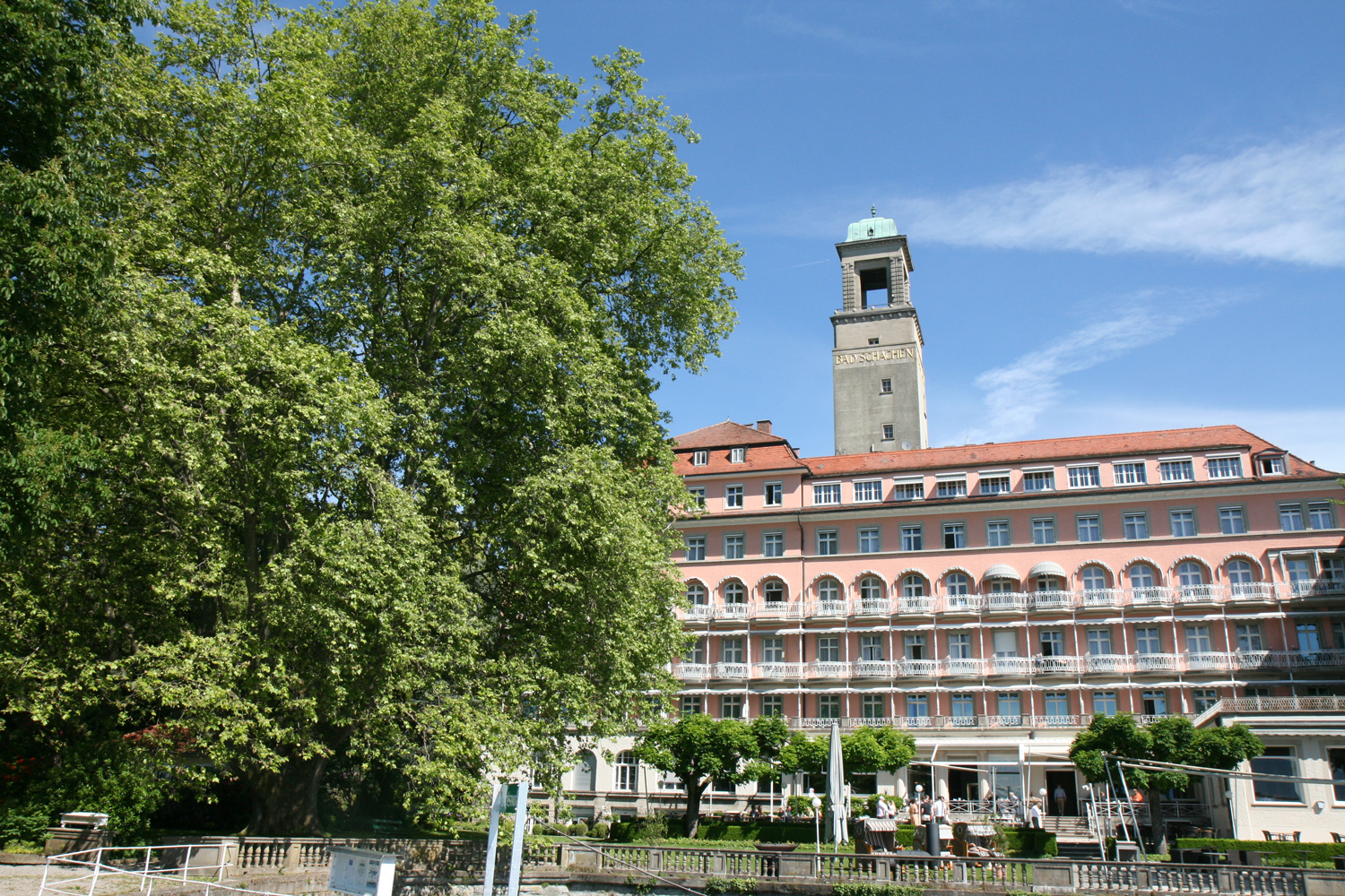 Platanus × hispanica - Lindau-Bad Schachen - Mai 2024