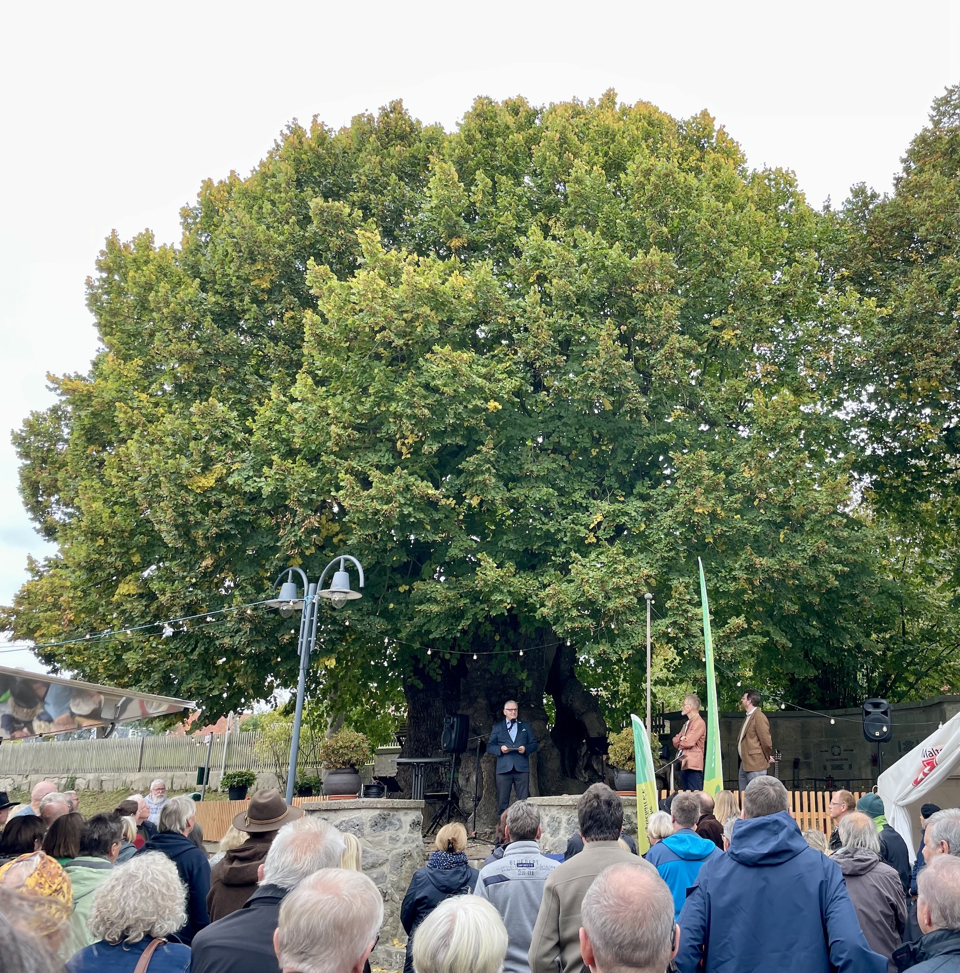 Ausrufung Tausendjährige Linde - Upstedt - Oktober 2025