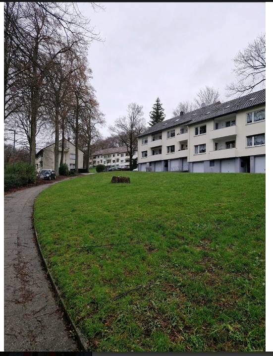 Abies homolepis - Wuppertal 2023