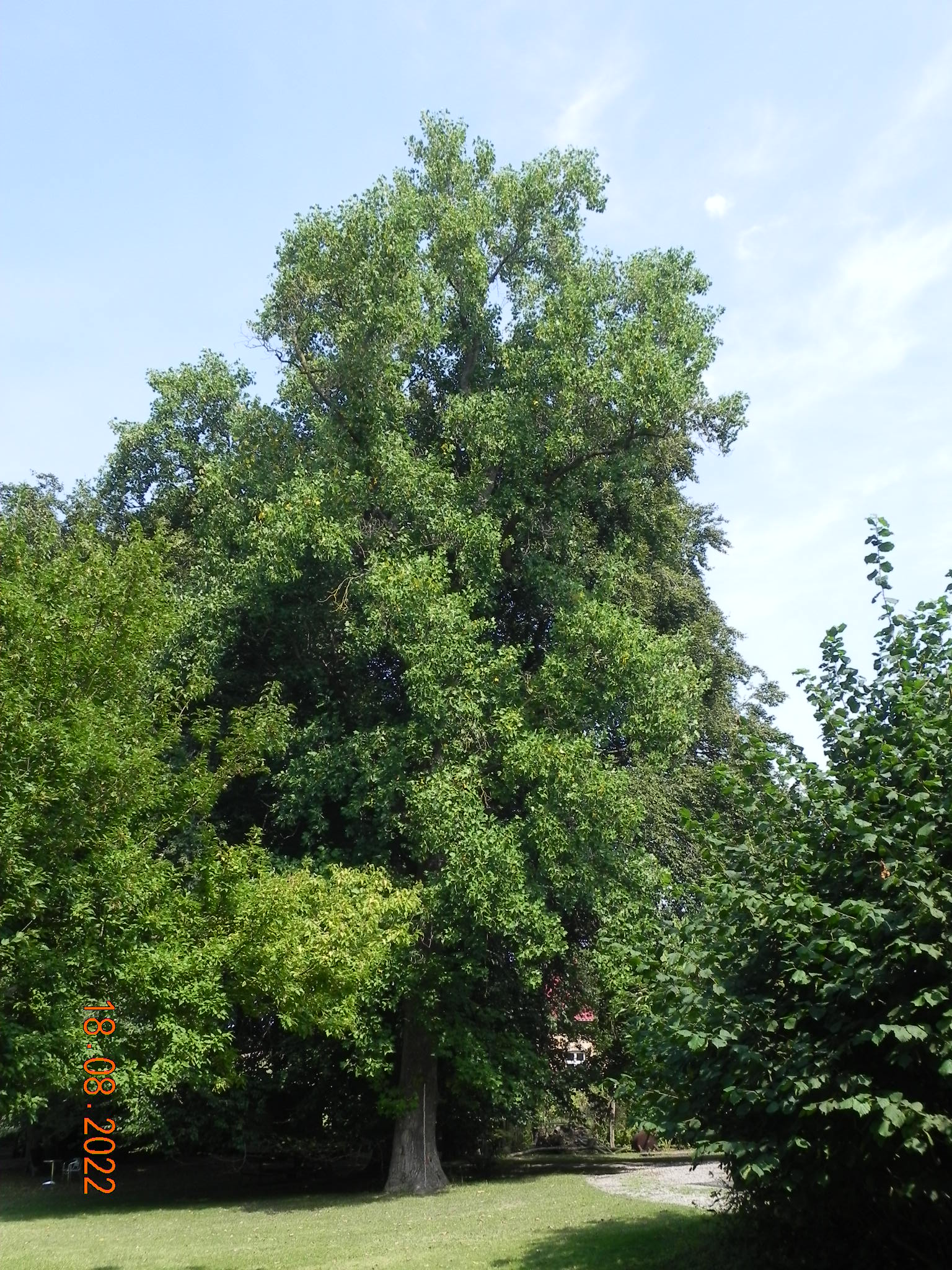 Ansicht von Westen - August 2022