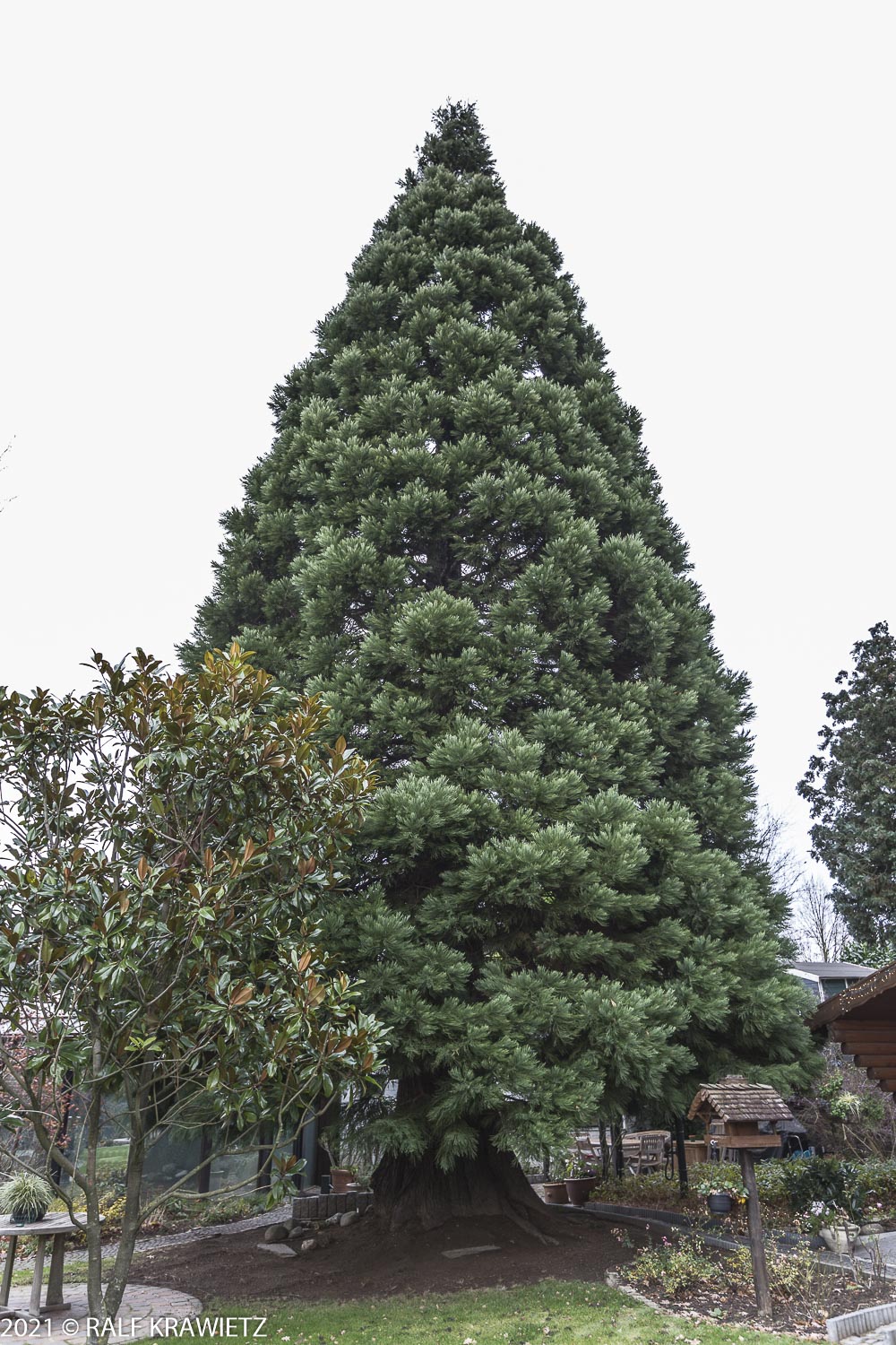 Wickrathberg, 26.11.2021