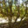 10322
