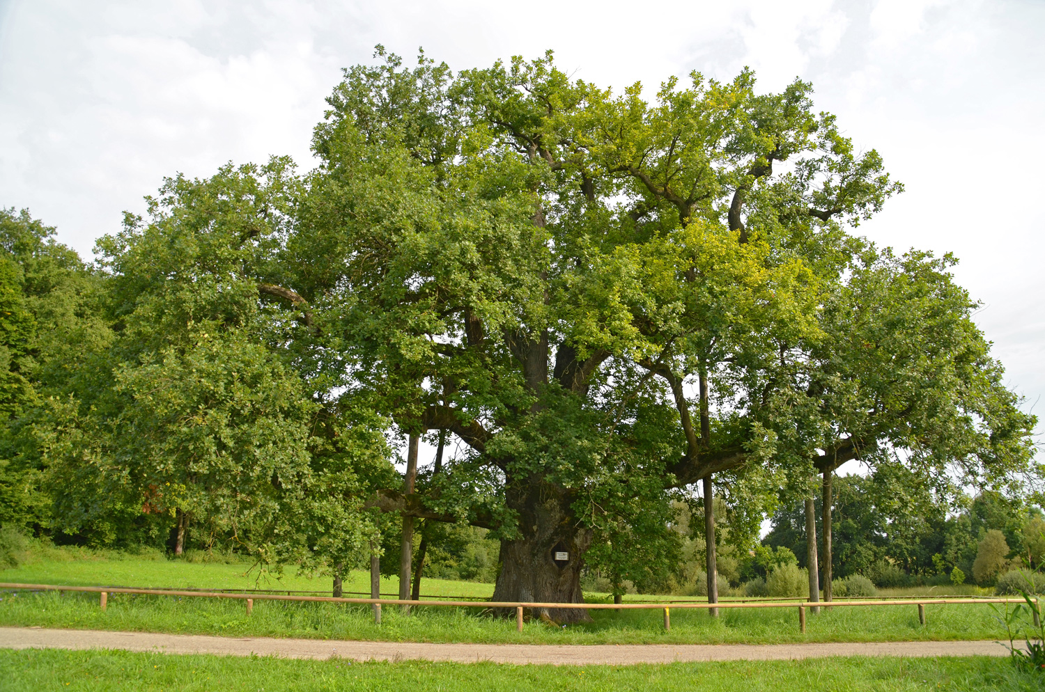 Breiteich - Gottwollshausen - Aug. 2014