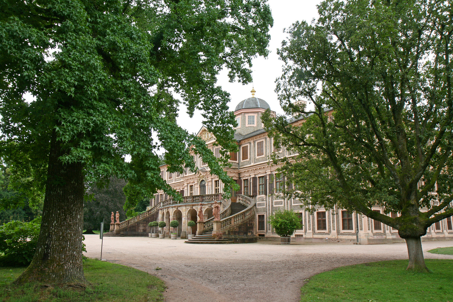 Liquidambar styraciflua am Schloss Favorite - Juli 2023