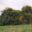 12628
