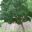 12690