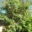 210