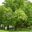 2357