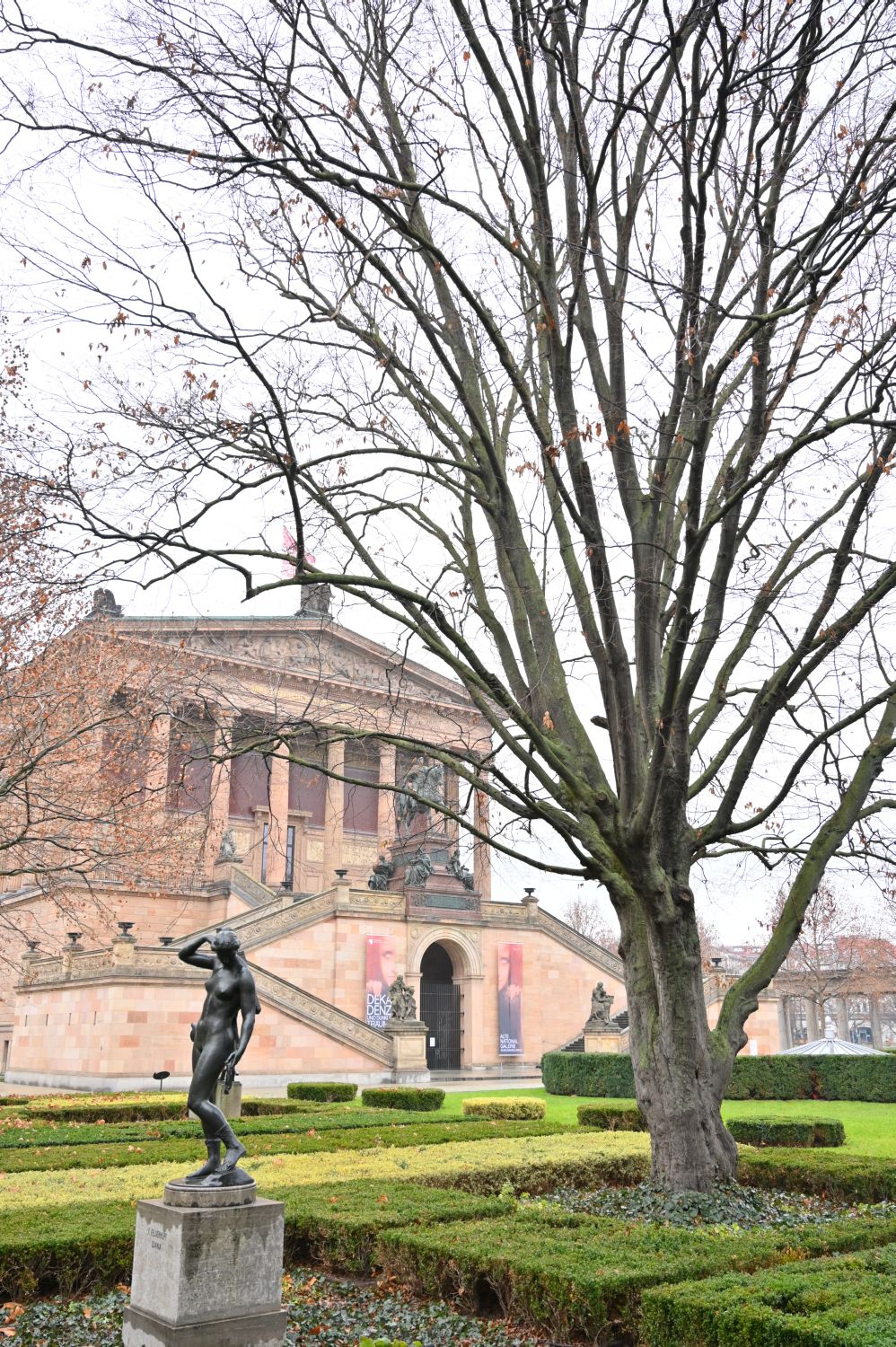Carpinus betulus - Berlin, Alte Nationalgalerie - 2021