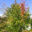 3765