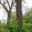 7875