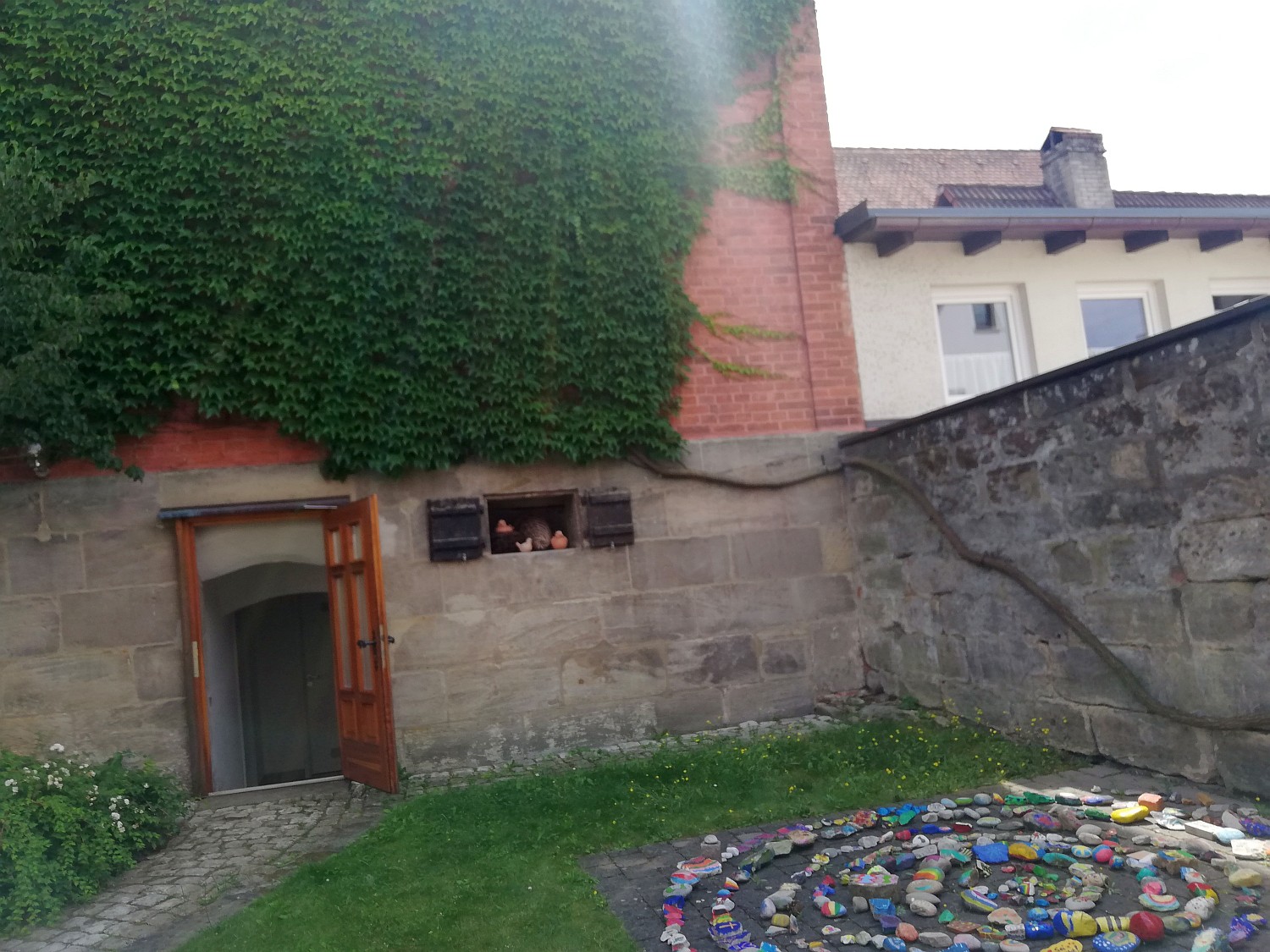 Parthenocissus tricuspidata - Ottensoos - 2020