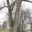 8820