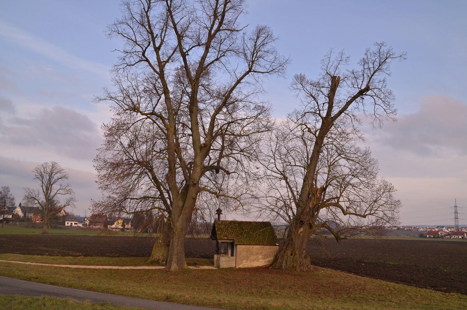 Kapellenlinden - Grüningen - 2014