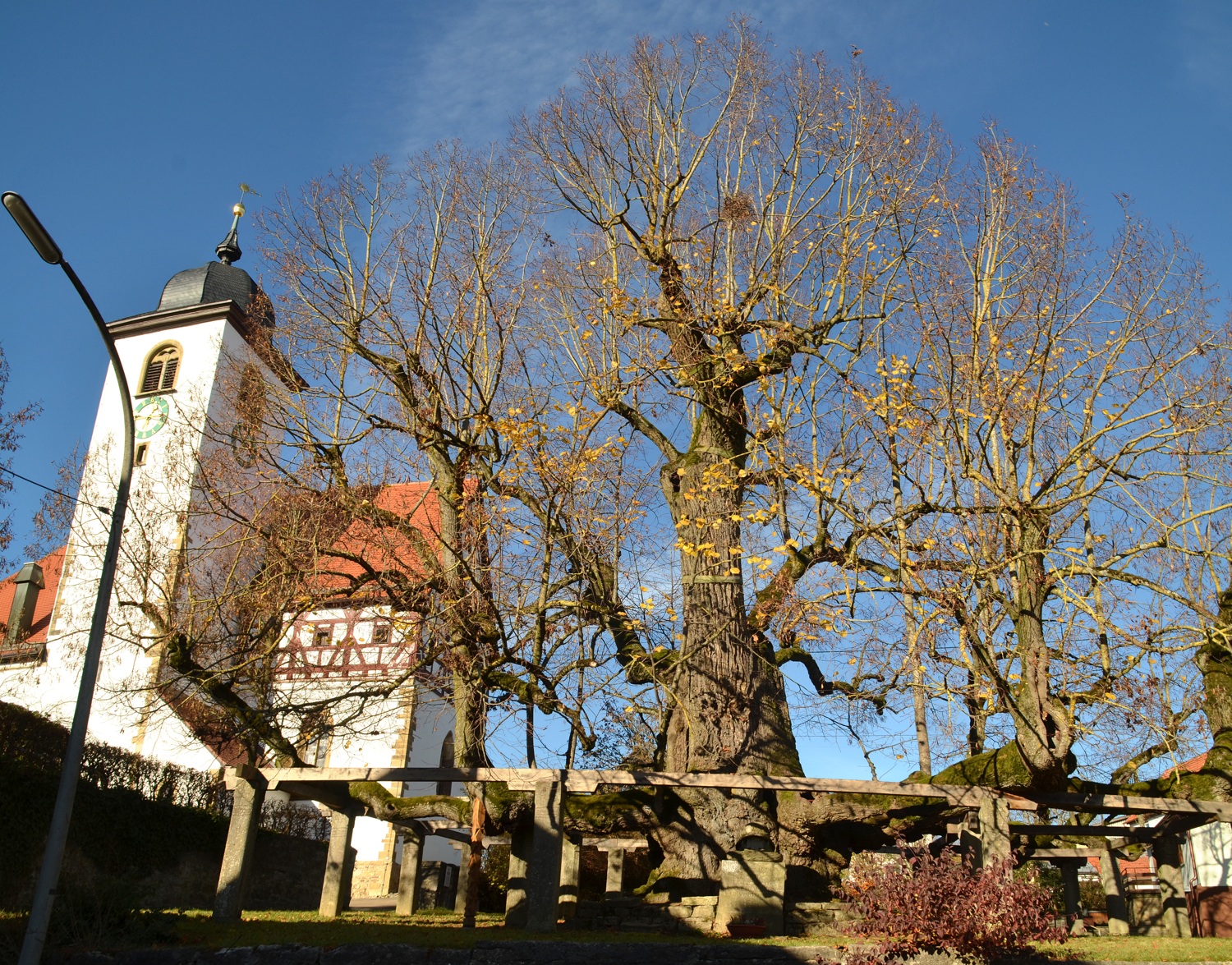 Lindenlaube - Hollenbach - 2020